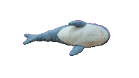 ibm's profile picture