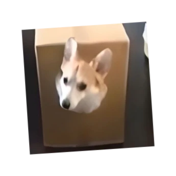 sog's profile picture